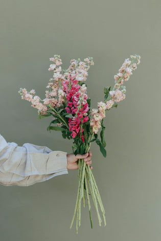  Send flowers Singapore for CNY