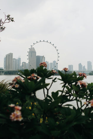  Florists in Singapore