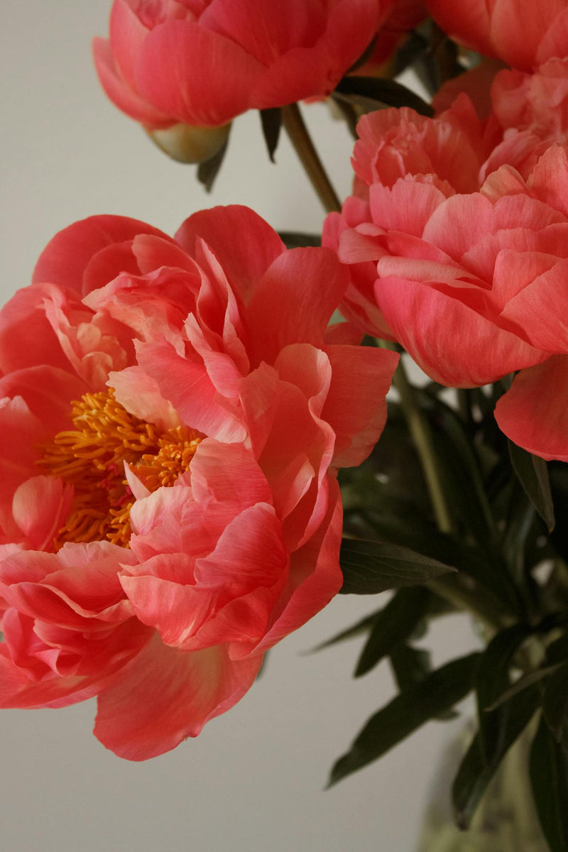 Flowerbee florist