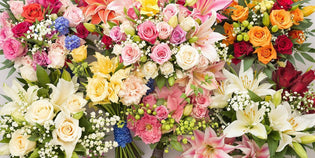  Variety of elegant bouquets for special occasions.