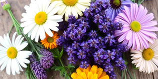  Colourful flowers used in herbal medicine on a wooden surface.