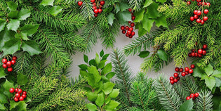  Christmas decorations crafted from fresh green foliage.