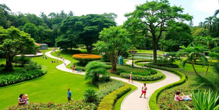  Lush parks in Singapore with greenery and people enjoying.