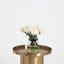  Clavel blanco