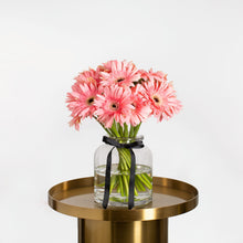  Gerbera rosa