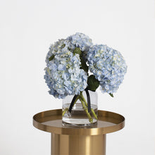  Hortensia azul