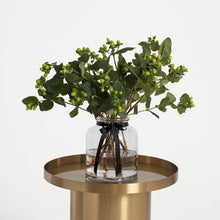  Hipercio verde