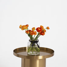  Ranculus naranja